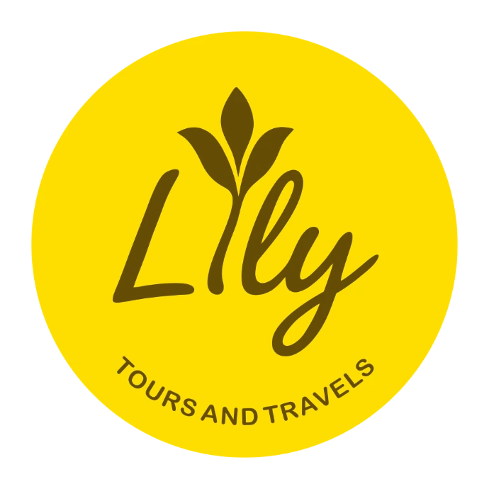 LILY4