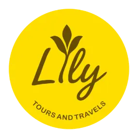 Lily Tours and travels 